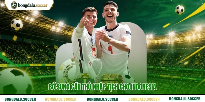 Bổ sung cầu thủ nhập tịch cho Indonesia