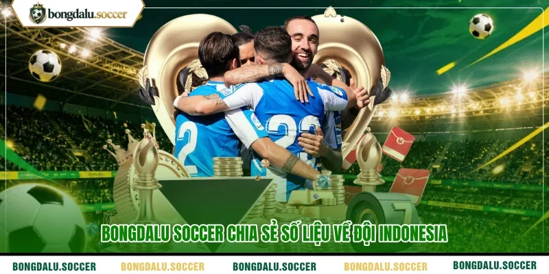 BONGDALU SOCCER chia sẻ số liệu về đội Indonesia