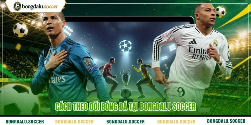 Cách theo dõi bóng đá tại Bongdalu Soccer 